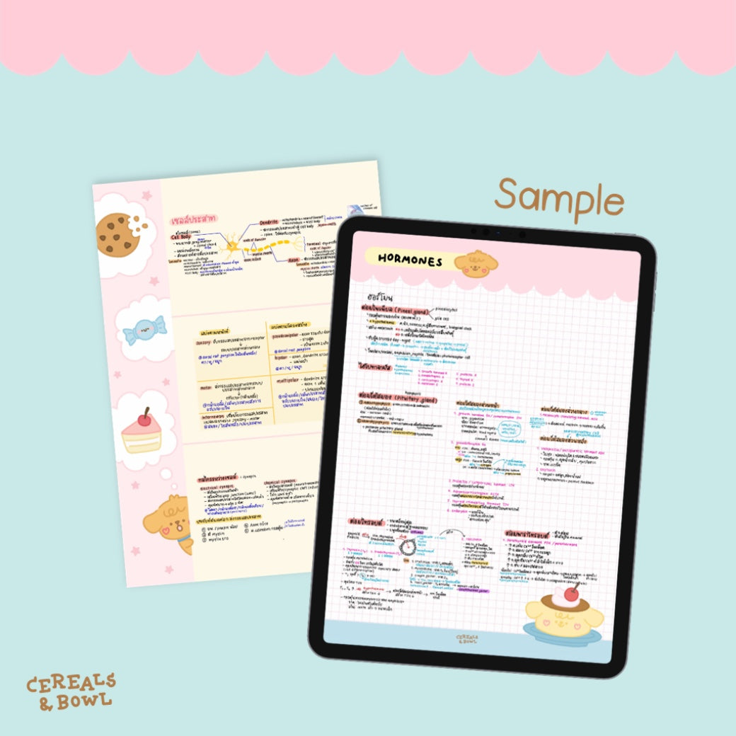 Study with Pocket & Twinkie (Notepapers)