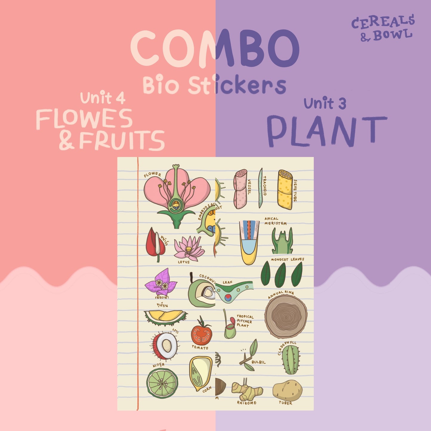 Combo Bio unit 3+4 (Plant + Flowers & Fruits)