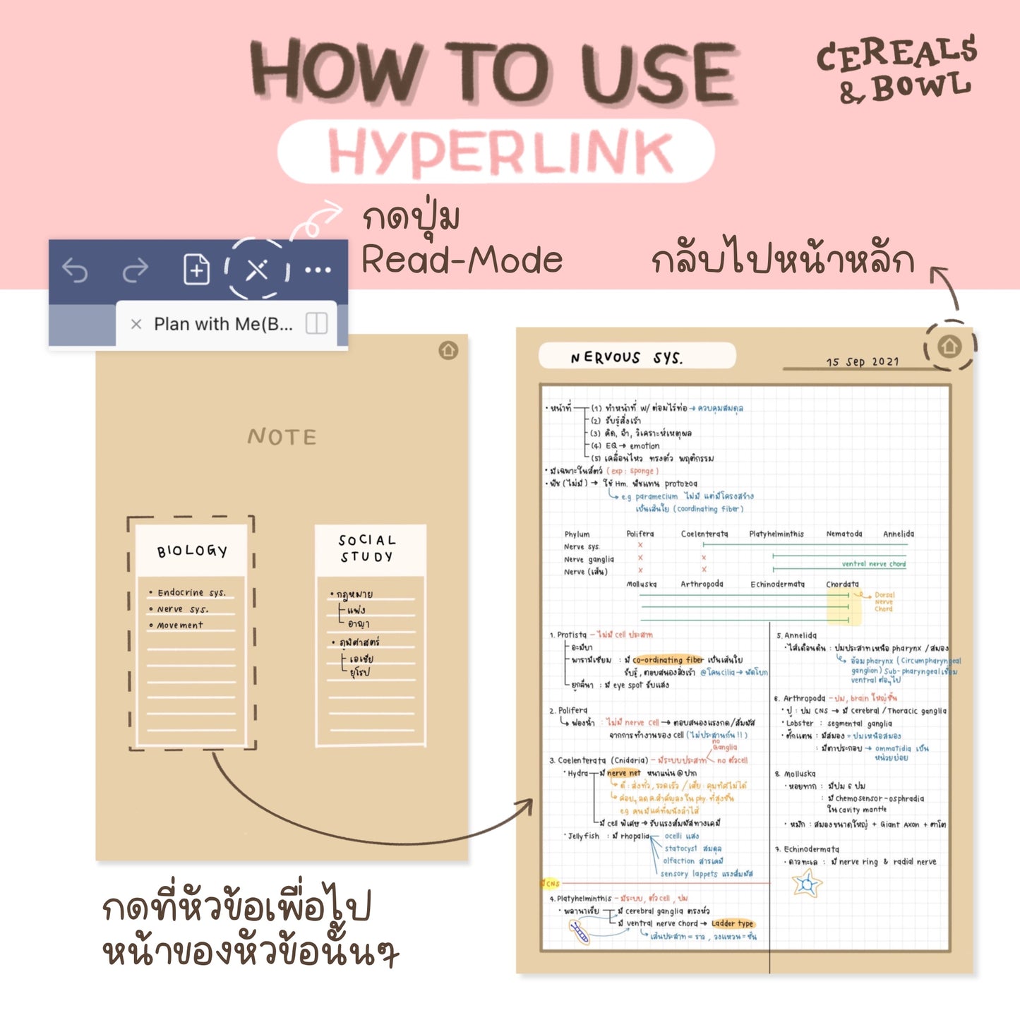 Plan with me (Digital files)