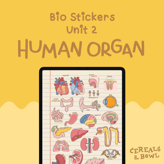 Bio unit 2 : Human Organs