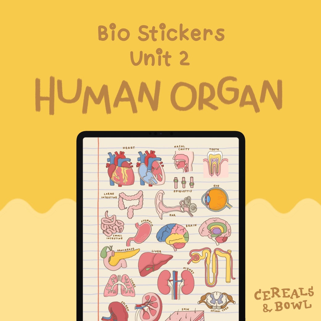 Combo Bio unit 1+2 (the Cells + Human Organ)