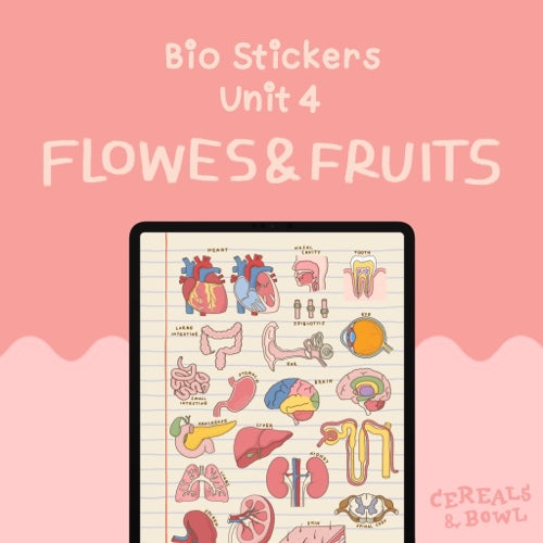 Bio unit 4 : Flowers & Fruits