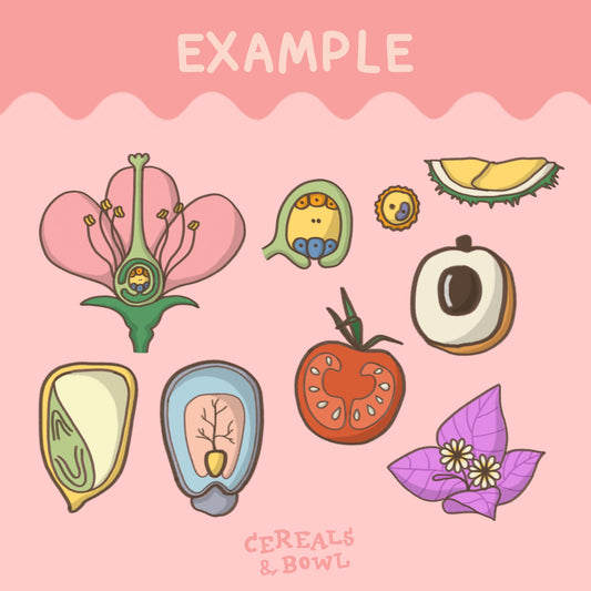 Bio unit 4 : Flowers & Fruits