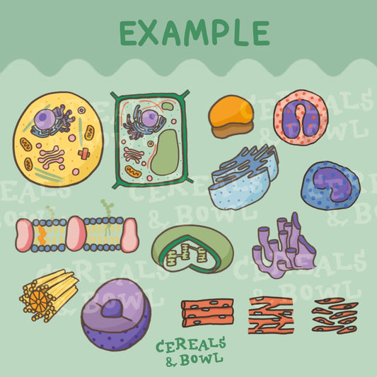 Bio unit 1 : the Cells