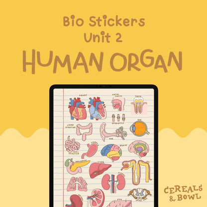 Combo Bio unit 1+2 (the Cells + Human Organ)