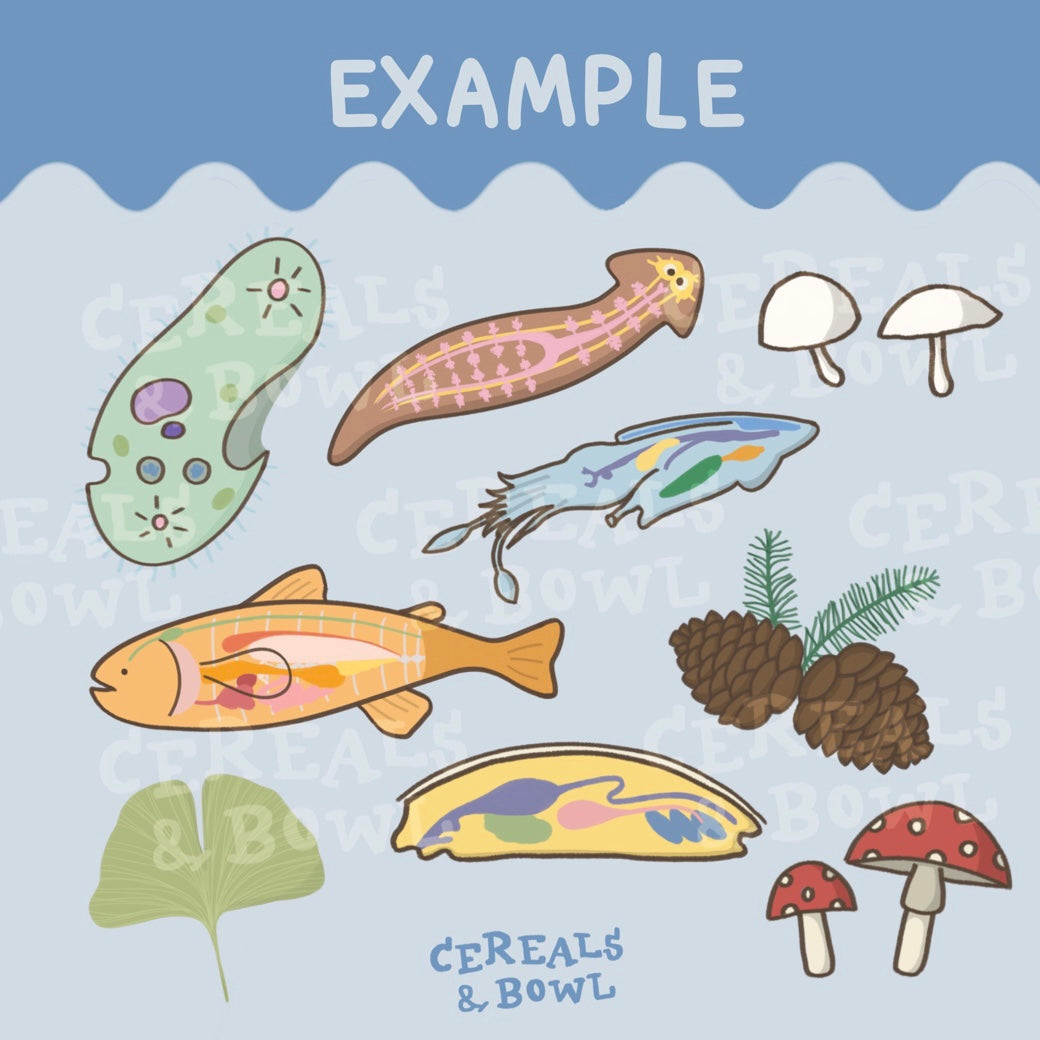 Combo Bio Unit 5+6 (Biodiversity + Reproduction & Growth) (Digital files)