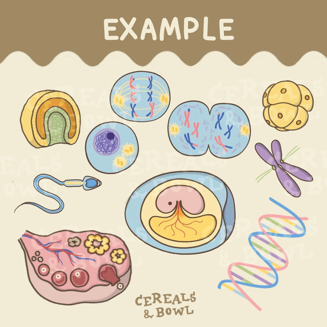 Combo Bio Unit 5+6 (Biodiversity + Reproduction & Growth) (Digital files)