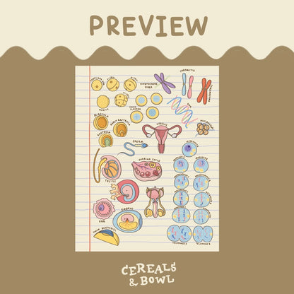 Combo Bio Unit 5+6 (Biodiversity + Reproduction & Growth) (Digital files)